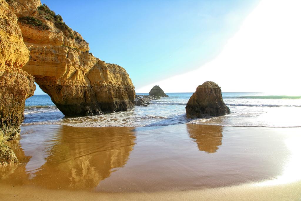 Rocha Tower By Beach Rentals Εξωτερικό φωτογραφία