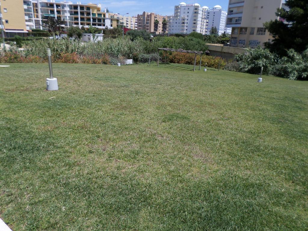Rocha Tower By Beach Rentals Εξωτερικό φωτογραφία